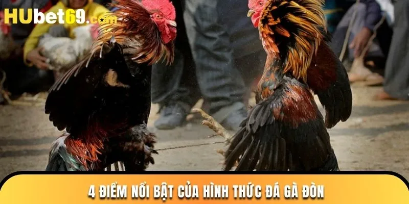 5 kinh nghiệm chơi đá gà đòn luôn thắng lớn